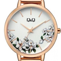 Ρολόι Χειρός Q&Q QZ67J011Y