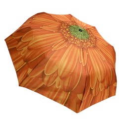 Ομπρέλα Βροχής Trend 0288-6 Αυτόματη