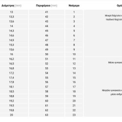 Δαχτυλίδι με Σχέδιο Ζώνης DADI4680